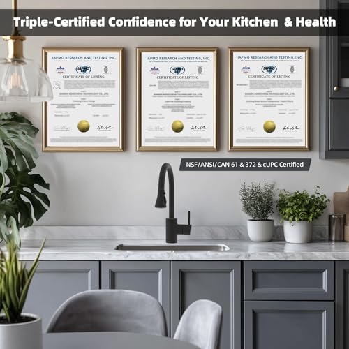 Pull Down Spray Head for Kitchen Faucet