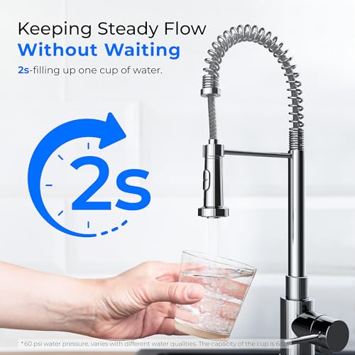 DST Under Sink Water Filter System