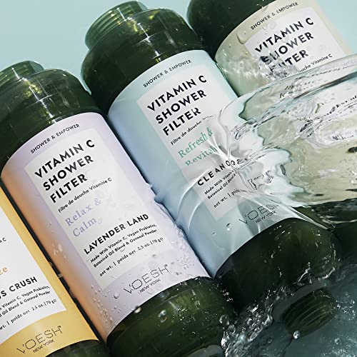 Vitamin C Shower Filter (2 Count)