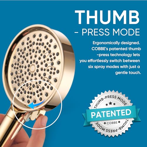 Filtered Shower Head with Handheld