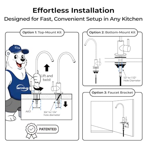 US31-PF 3-Stage Under Sink Water Filter System with Faucet, 1 Year