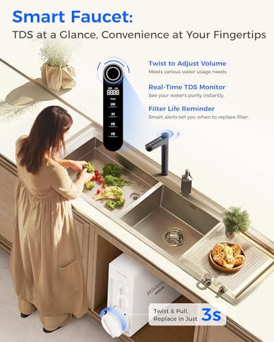 X12 WAB Alkaline Mineral Reverse Osmosis System