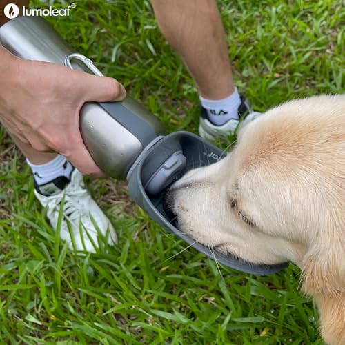 Portable Dog Water Bottle 27 OZ
