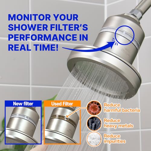 Core Shower Filter Shaped by Korea’s Beauty History