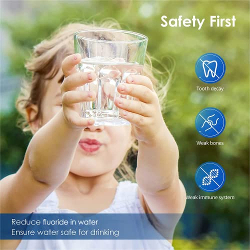 Gravity Water Filter (2 Count)