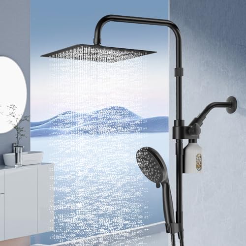 10" Filtered Rain Shower Head with Handheld Spray Combo