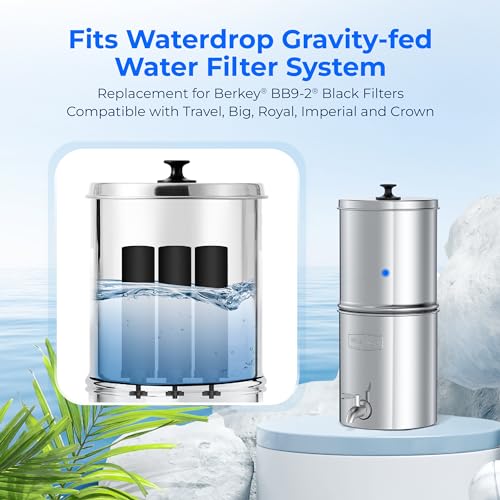 Black Water Filter (3 Count)