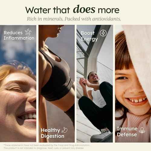 Korea Made Ivyel PL Alkaline Water Machine