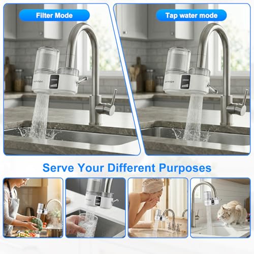 T9 CTO Faucet Water Filter for Kitchen Sink