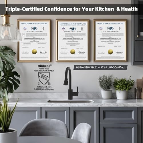 Pull Down Kitchen Faucet Head Replacement