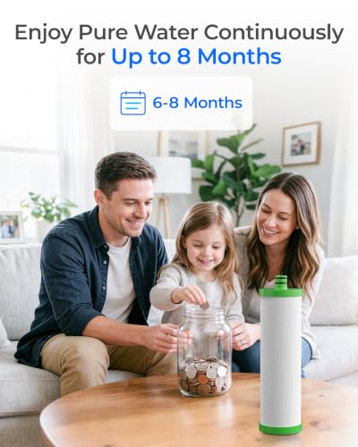P1 Replacement Water Filter for Waterdrop TST