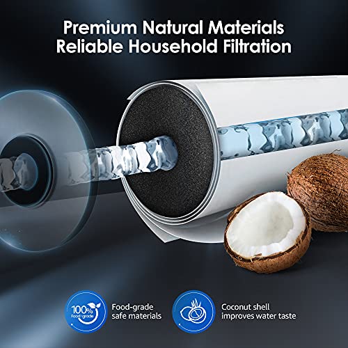 WF10PG Whole House Water Filter for WHF21 (2 Count)