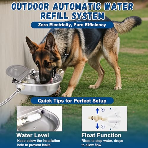 Automatic Water Dispenser for Dogs