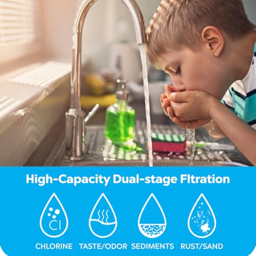 Dual Filter System