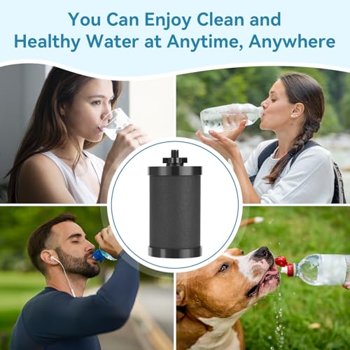 2 PCS 2387 Pro Replacement Water Filter Compatible with Alexapure