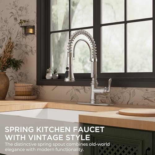 Kitchen Faucet with Pull Down Sprayer