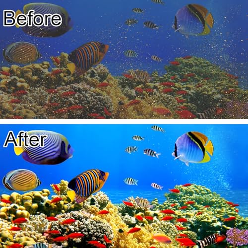 6 Pack Aquarium Filter Cartridge for Whisper Bio (6 Count)