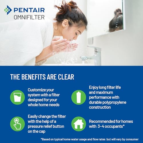 Pentair OMNIFilter Whole Home 10