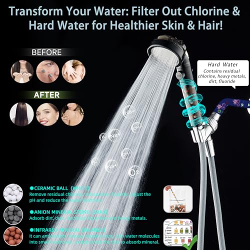 Filtered Shower Head with Handheld