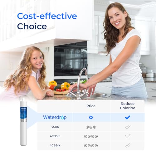 I2000 2 Water Filter Replacement for Pentair® Everpure