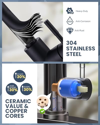 Kitchen Faucet with Air Gap