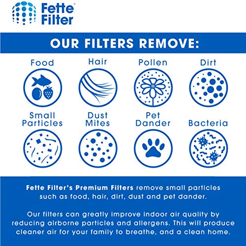 Air Purifier Activated Carbon Filter Compatible with HoMedics TotalClean PetPlus. Compare to Part # AT (2 Count)