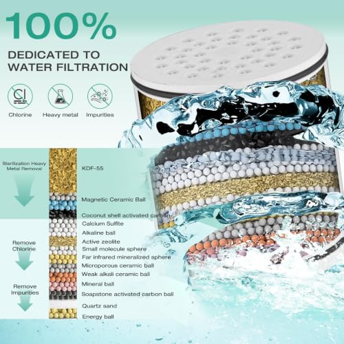 Shower Head with Shower Filter