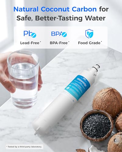 WD F19C Water Filter Replacement for GE® RPWFE® (2 Count)