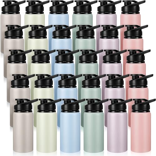 Aluminum Water Bottle Bulk (30 Count)