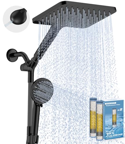 Dual Filtered Rain Shower Head Combo