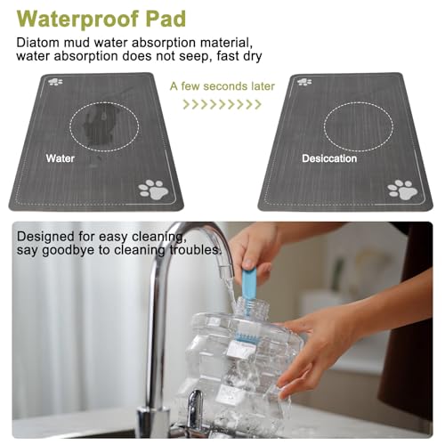 8L Elevated Dog Water Dispenser