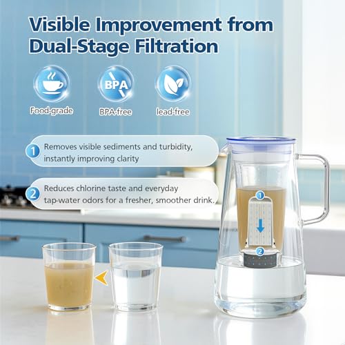 Water Pitcher Filter Replacement for LifeStraw Home (7 Count)