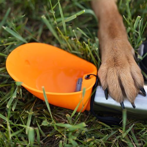 Insulated Dog Travel Water Bottle
