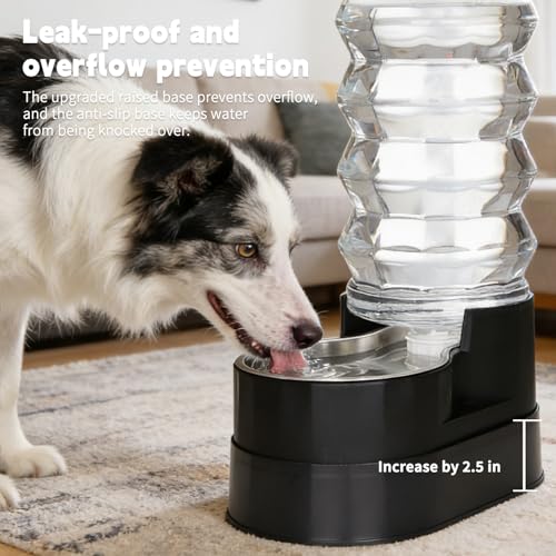 9L Elevated Dog Waterer