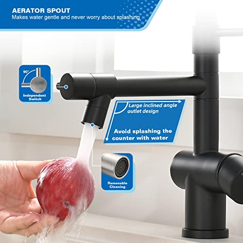 Commercial Kitchen Faucet with Pull Down Sprayer