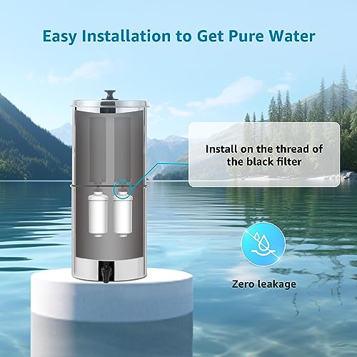 Fluoride Water Filter (2 Count)