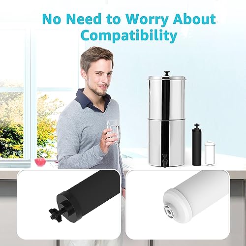 Black and Fluoride Water Filter (4 Count)