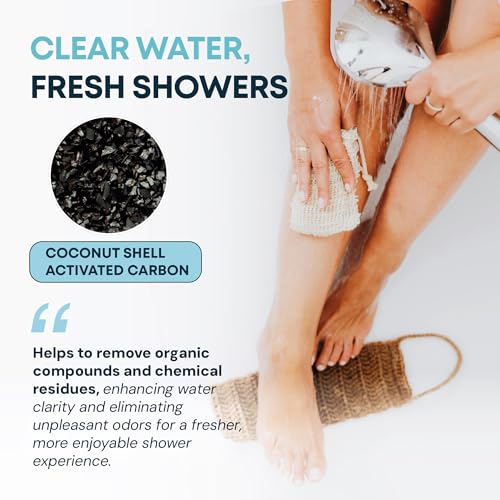 Shower Head Filter (2 Count)