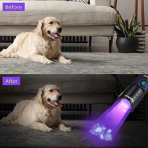 UV Flashlight 395nm Black Light Mini USB Rechargeable Ultraviolet LED Blacklight Woods Lamp Powerful Fluorescent Portable Detector for Pet Urine Stains