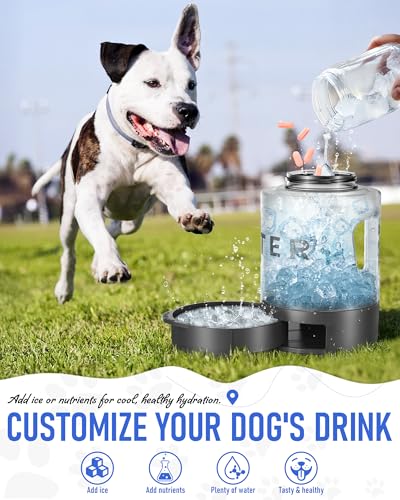 Dog Water Bottle Travel Bowl
