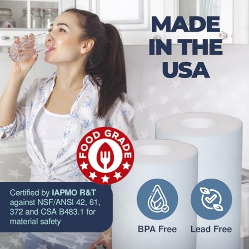 1 Micron Well Water Filter 10x4.5 Replacement