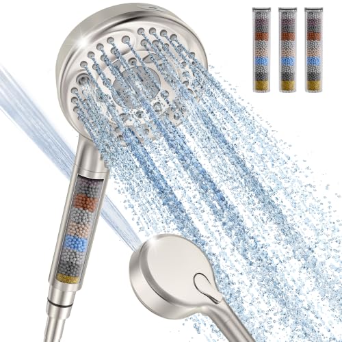 Filtered Shower Head with Handheld (4 Count)