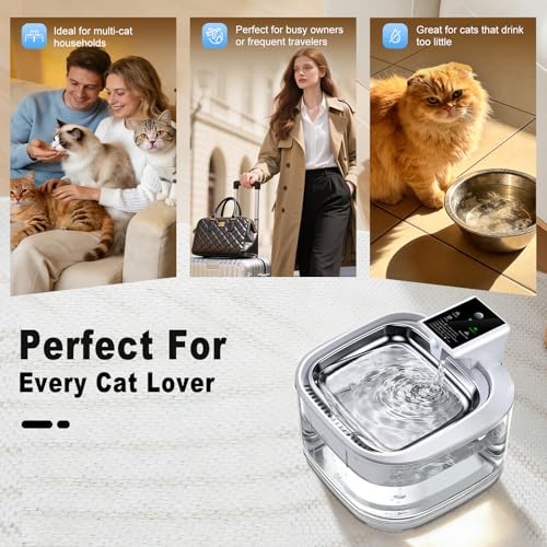 Cat Water Fountain LOXIBAO (152 Fl Oz)
