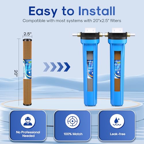 20" x 2.5" Whole House CTO Carbon Water Filter Cartridge (2 Count)