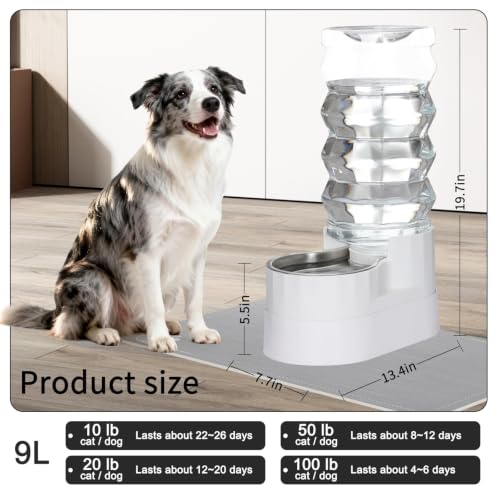 9L Elevated Dog Water Dispenser