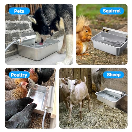 Automatic Dog Water Dispenser