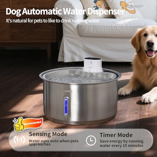 2.8Gal 11L Cordless Dog Water Fountain for Large Dogs