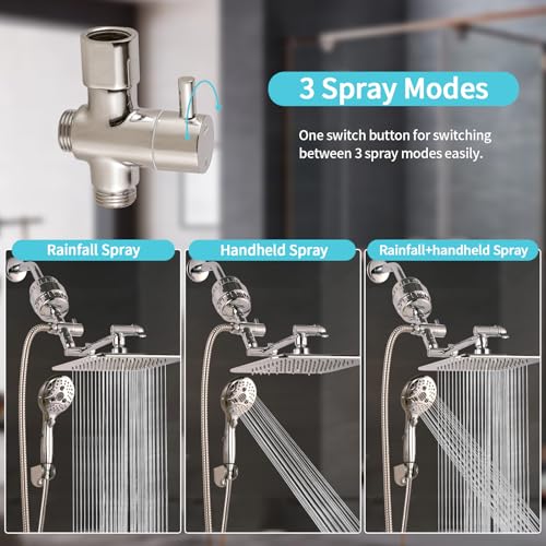 10'' Dual 20 Stage Filtered Shower Head with Handheld