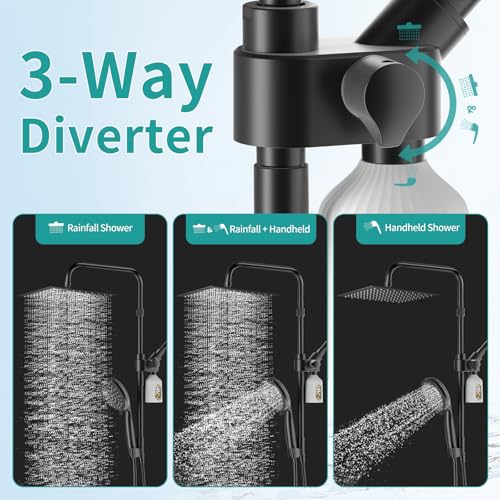 Black Filtered Rainfall Shower Head with Handheld