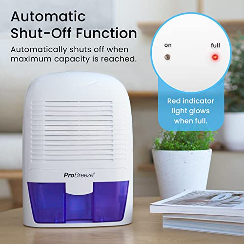 Electric Mini Dehumidifier